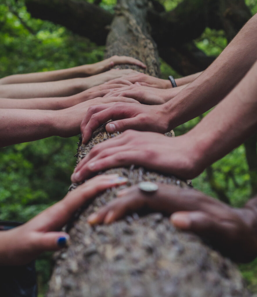 coaching dans la nature